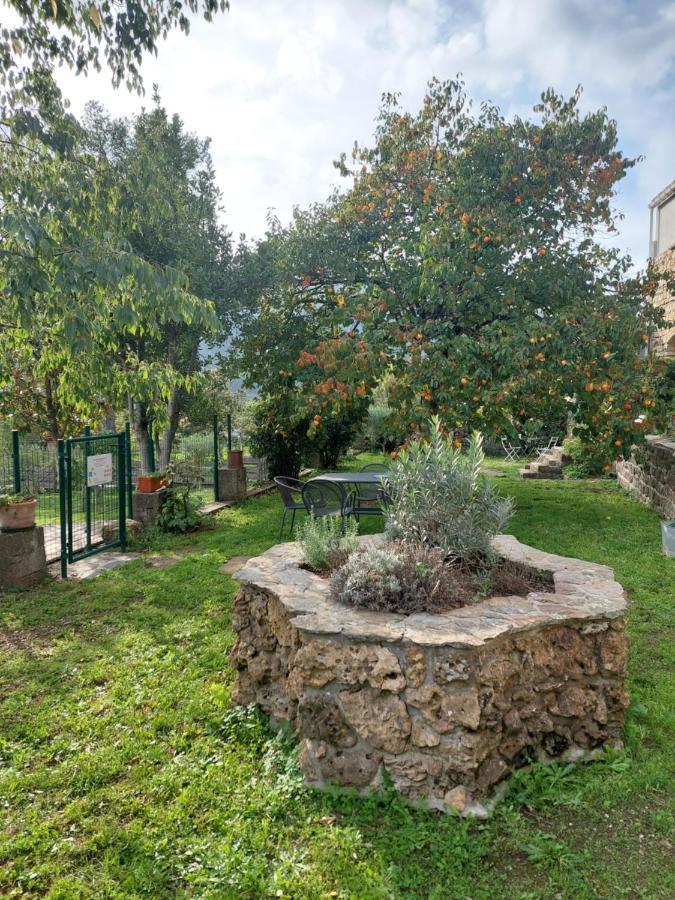 Le Mas Du Galibot Chambre Cambalotte Bed and Breakfast Saint-Florent-sur-Auzonnet Εξωτερικό φωτογραφία