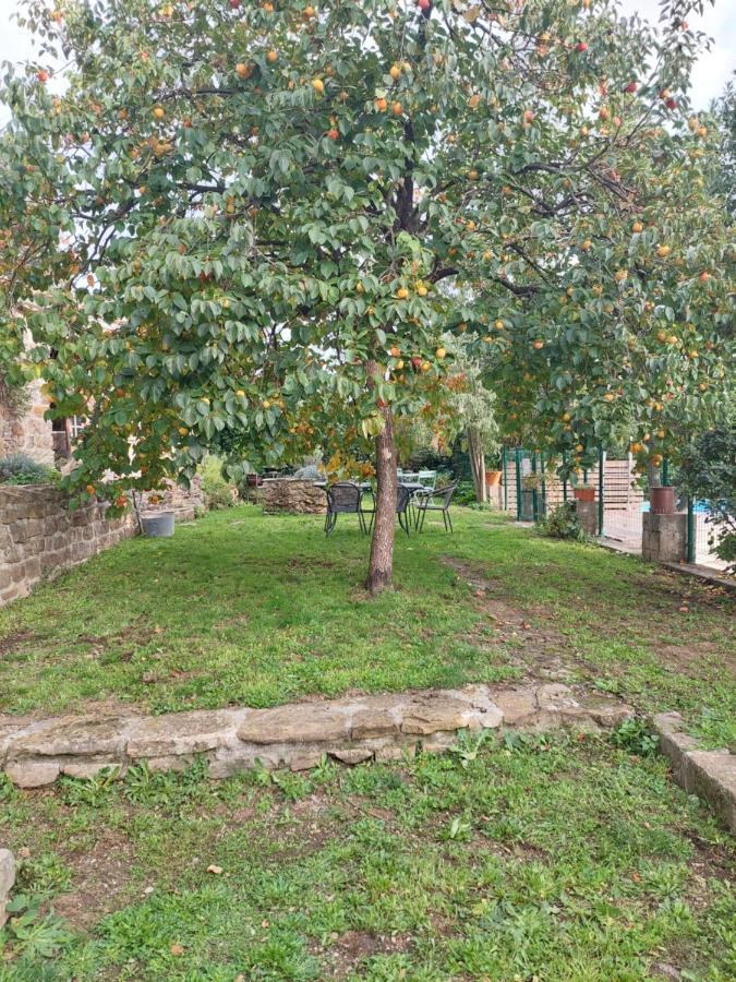 Le Mas Du Galibot Chambre Cambalotte Saint-Florent-sur-Auzonnet Εξωτερικό φωτογραφία